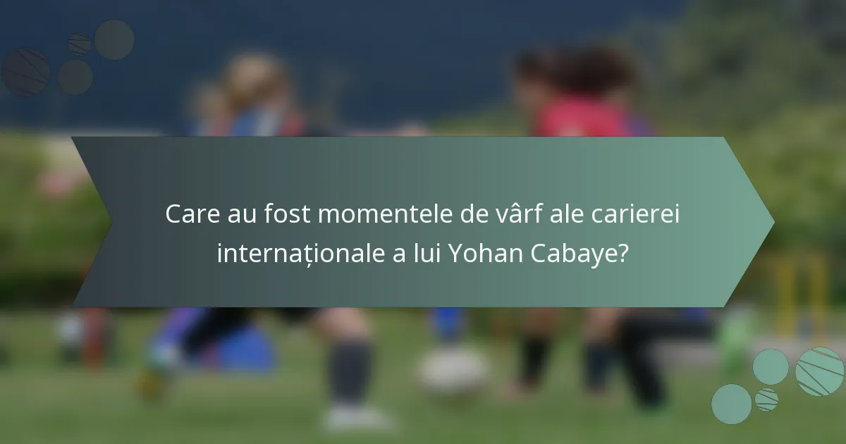 Care au fost momentele de vârf ale carierei internaționale a lui Yohan Cabaye?