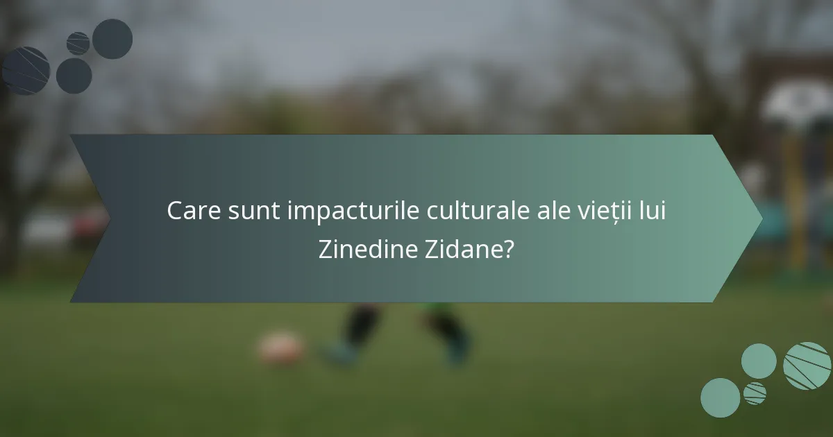 Care sunt impacturile culturale ale vieții lui Zinedine Zidane?