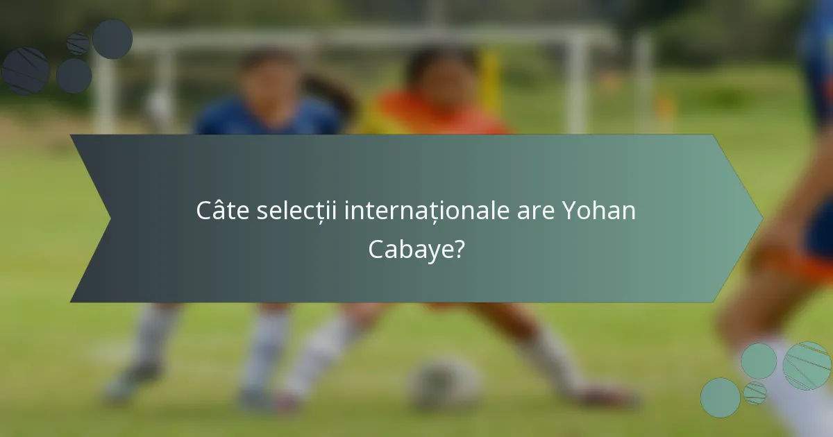 Câte selecții internaționale are Yohan Cabaye?
