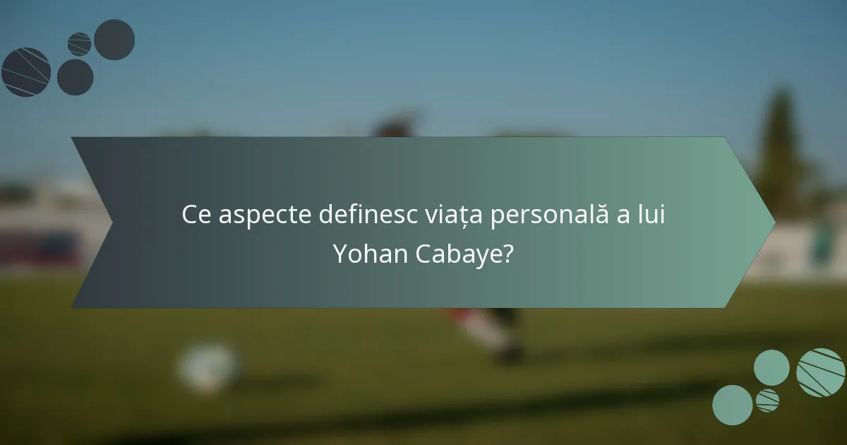 Ce aspecte definesc viața personală a lui Yohan Cabaye?