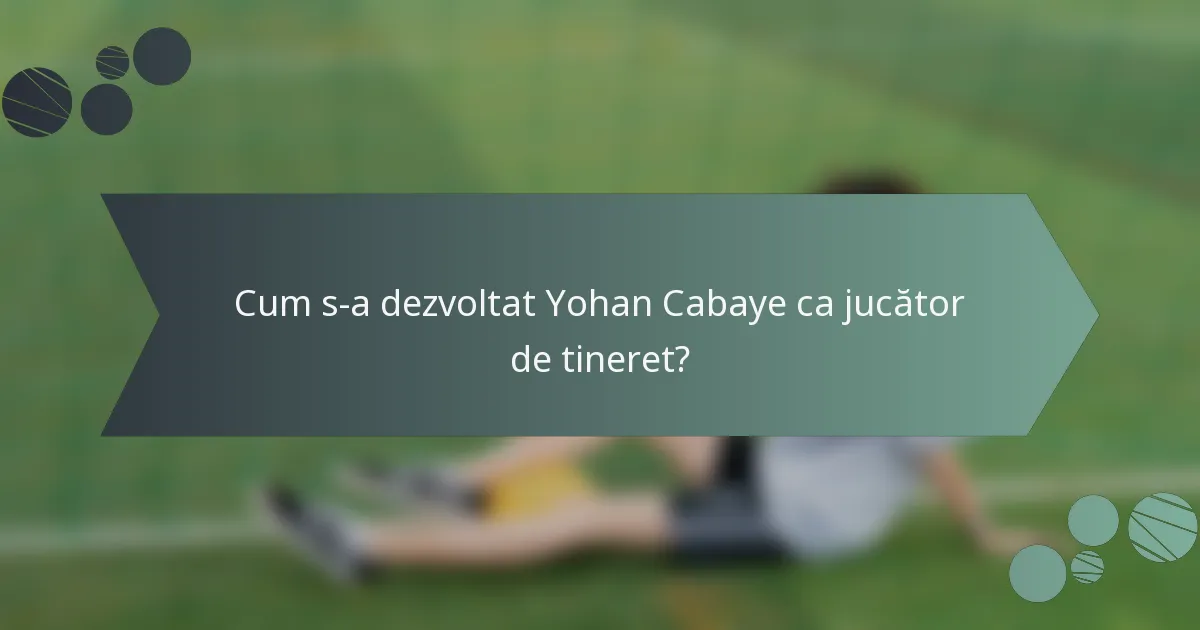Cum s-a dezvoltat Yohan Cabaye ca jucător de tineret?