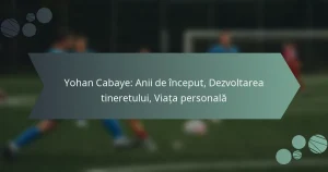 Yohan Cabaye: Anii de început, Dezvoltarea tineretului, Viața personală